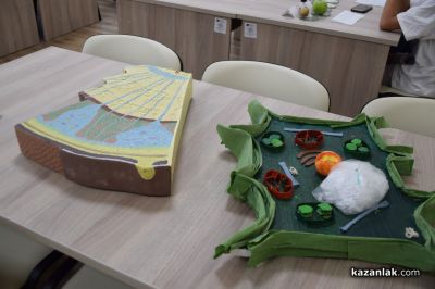 Откриване на новите STEM кабинети в ОУ „Чудомир“