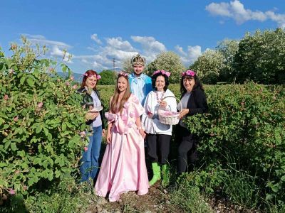 Носителите на титлите Царица Роза и Цар на минералната вода на Павел баня за 2025 г. участваха в розобер край Габарево