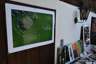 Първият фотобазар представи уникални творби на 12 автори