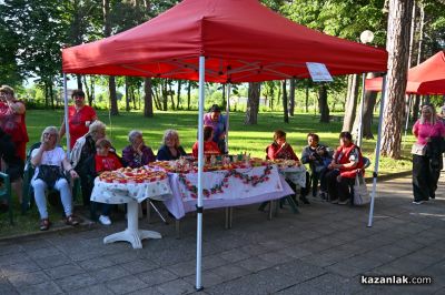 „Селските дворове“ – кулинарно изложение в Павел баня