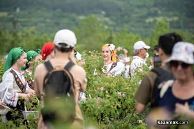 Дни на Розата в “Дамасцена“ 2026