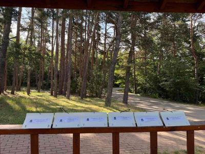 80% успеваемост при проведената биологична борба с боровата процесионка на територията на лесопарк “Тюлбе“