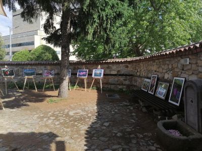 Фотографска изложба с красиви кадри от „Долината на розите“ ще зарадва публиката в Казанлък / Новини от Казанлък