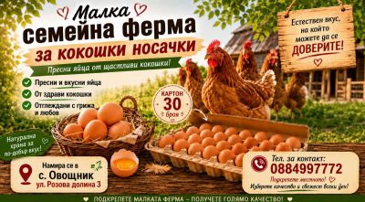 Истинският вкус на домашните яйца - директно от семейната ферма в с.Овощник / Новини от Казанлък