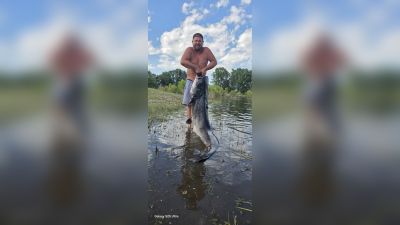 Огромен сом извадиха от водите на язовир Копринка / Новини от Казанлък
