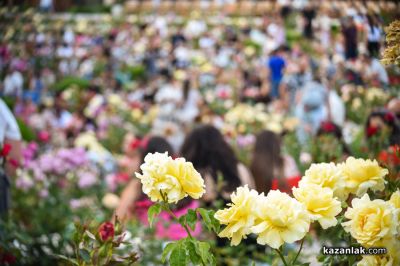 Певецът Роби изнесе невероятен концерт в комплекс “Дамасцена“