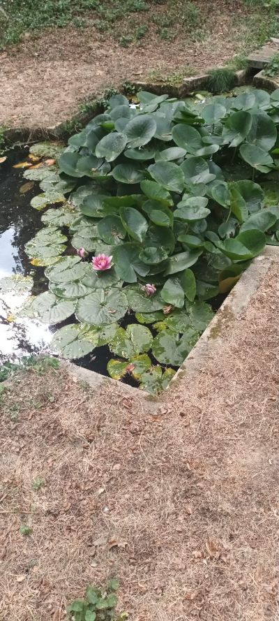 Над 50 участници се включиха в поход до Мъглижкия водопад