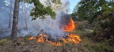 Пожарникари от три общини и доброволци успяха да овладеят бушуващ пожар между Гурково и Конаре