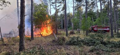 Пожарникари от три общини и доброволци успяха да овладеят бушуващ пожар между Гурково и Конаре / Новини от Казанлък