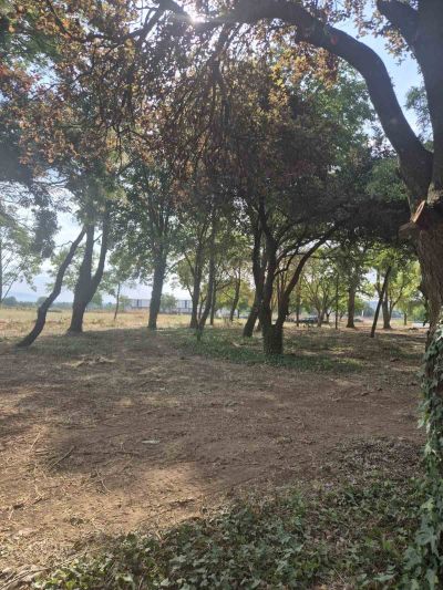 Парк “Загорче“ в село Долно Сахране отново оживява