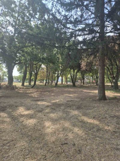 Парк “Загорче“ в село Долно Сахране отново оживява