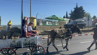 Магарето  спря пътя за Прохода на Републиката – Гурково поиска закрила за своя символ