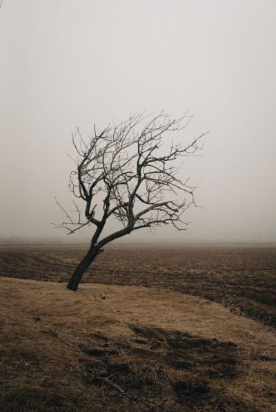 Казанлъшка фотографка реди дебютна изложба