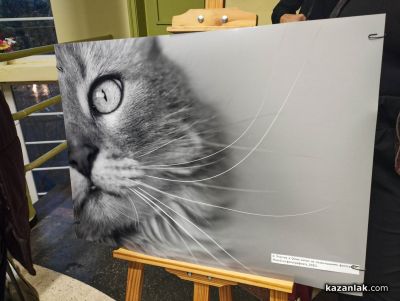 Мирослава Костадинова представи дебютната си фотографска изложба „По следите на светлината“ в Казанлък