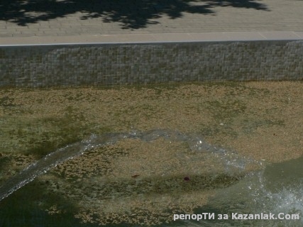 Имаме естествен липов чай в центъра