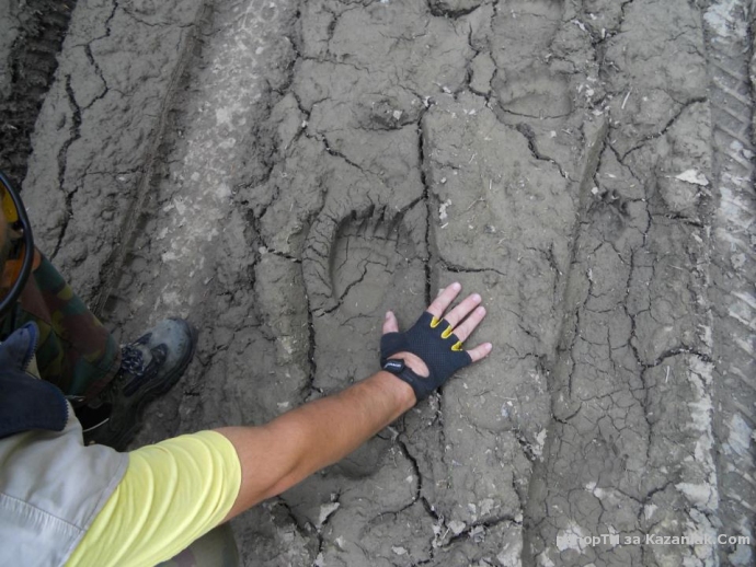 Заснех следи на мечка до Узана