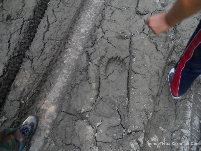 Заснех следи на мечка до Узана