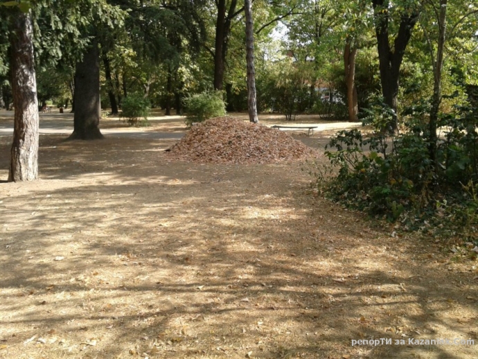Вижте състоянието на Розриума