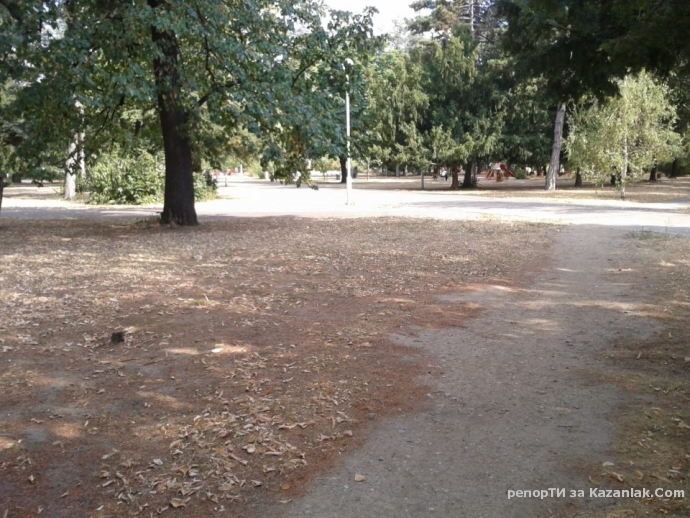 Вижте състоянието на Розриума