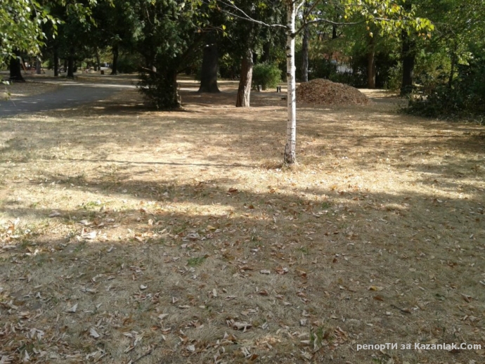 Вижте състоянието на Розриума