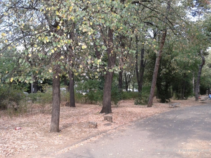 Вижте състоянието на Розриума