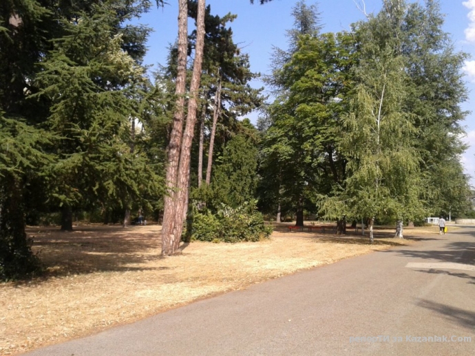 Вижте състоянието на Розриума