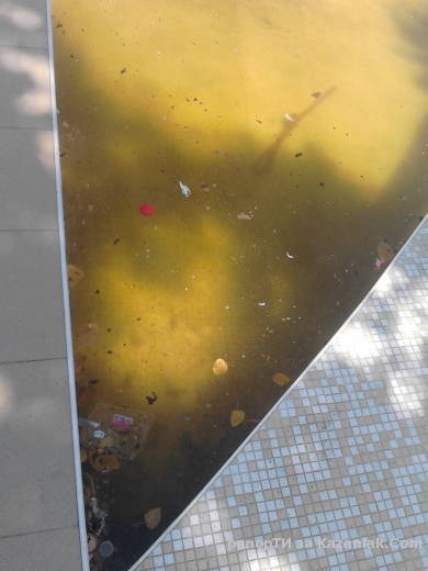 Трябва да се забрани къпането в шадравана