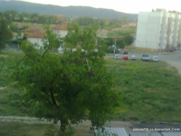 Роми атакуваха орех