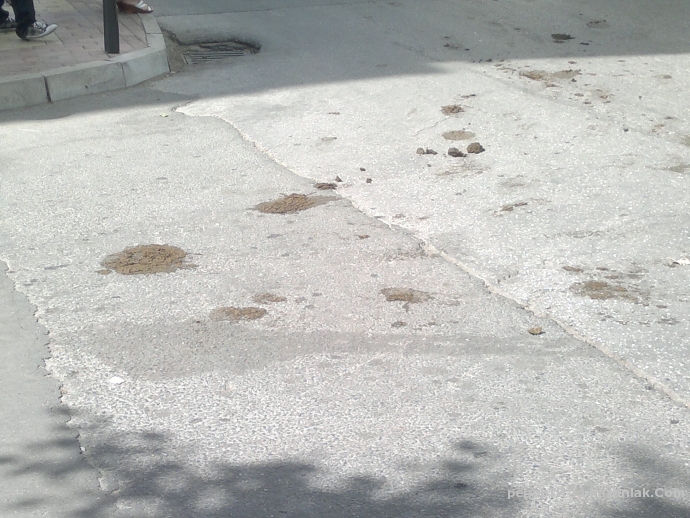 Конски миризливи фъшкии