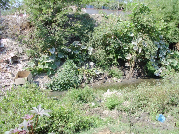 Продължение на рекордите на Гинес