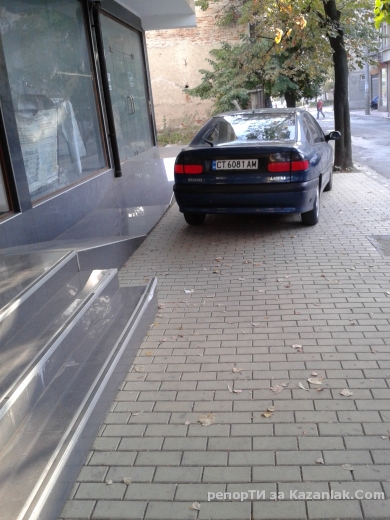 .....ум патки пасе!