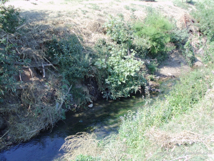 Продължение на рекордите на Гинес