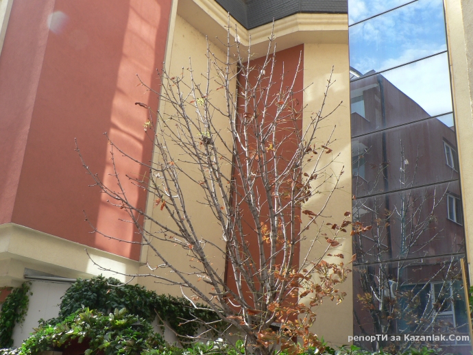 Пролетта дойде!!!