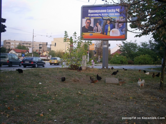 На вниманието на Президента