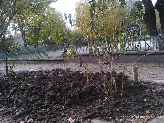 Разпознайте си дупките 2