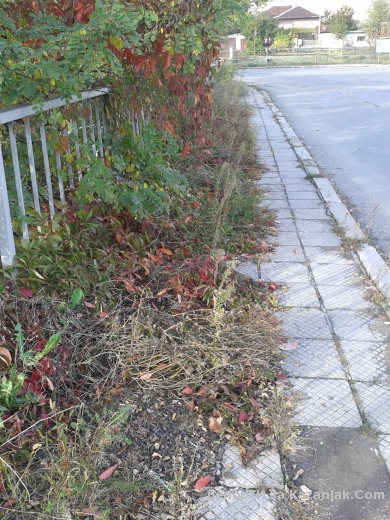 Непочистени тротоари