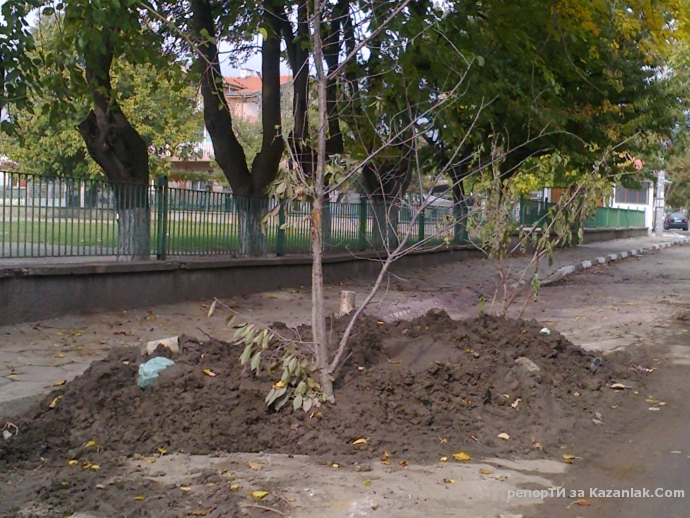 Разпознайте си дупките 2