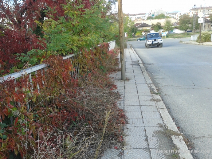 Непочистени тротоари