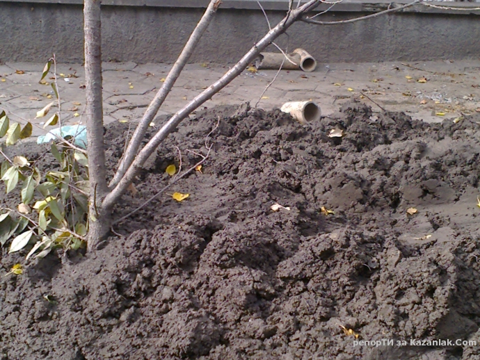 Разпознайте си дупките 2