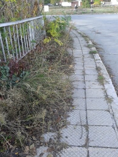 Непочистени тротоари