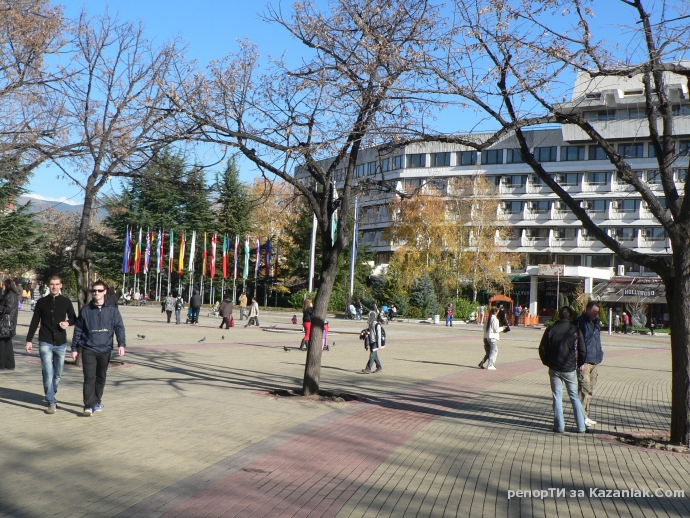 Къде е елхата?