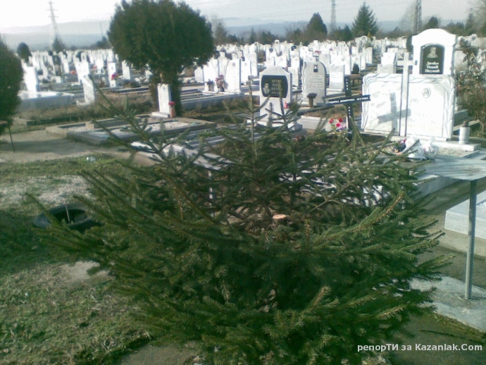 Без коментар