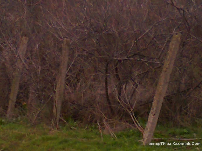 Добре дошли в България!