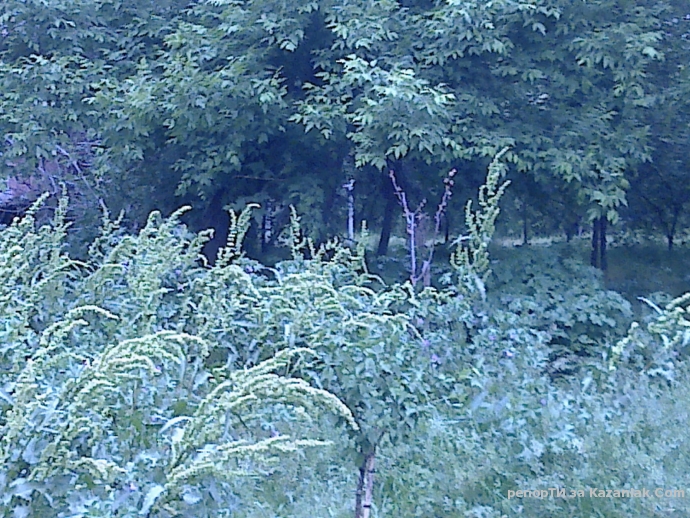 Къде играе бъдещето на Казанлък