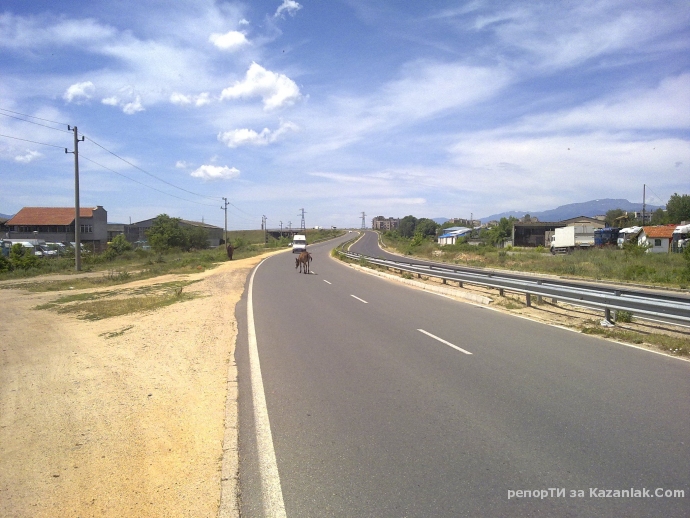 Магаре на околовръстното