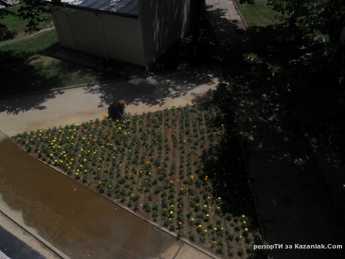 Да си откъсна от цветенцата, засяти от Общината на Общински пазар Абая