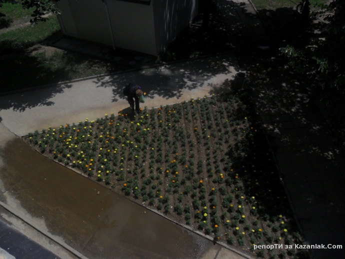 Да си откъсна от цветенцата, засяти от Общината на Общински пазар Абая