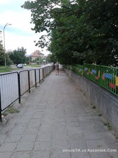 Висящи клони