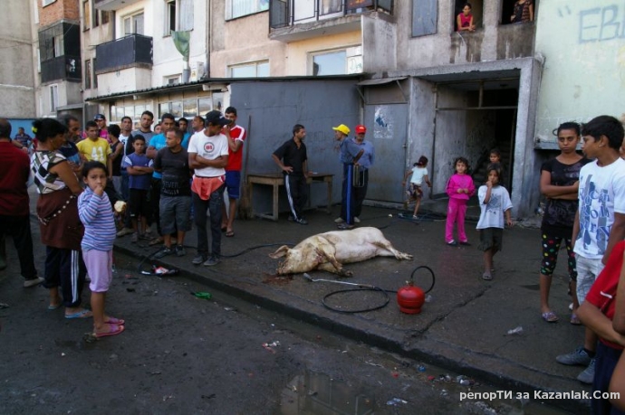 Циганите издевателстват над половин квартал