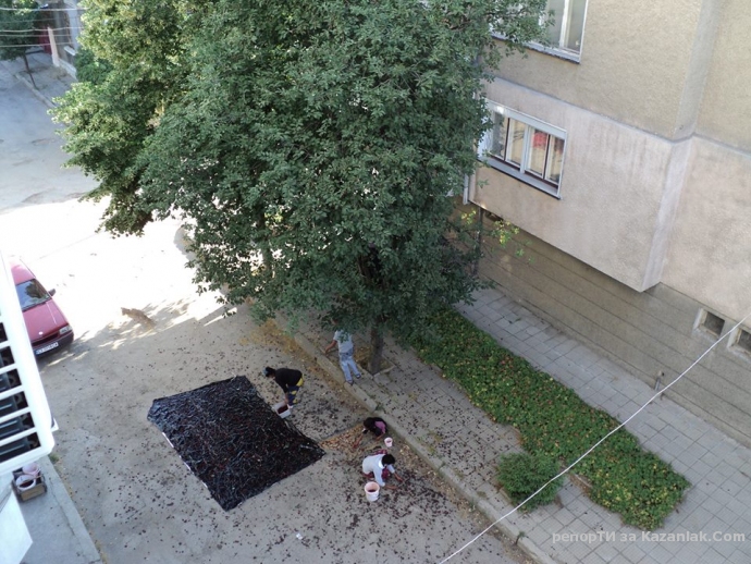 Без коментар